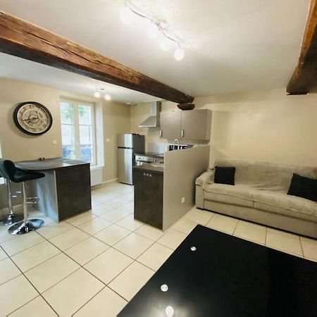 Bel Appartement Coeur De Ville 索恩河畔沙隆 外观 照片