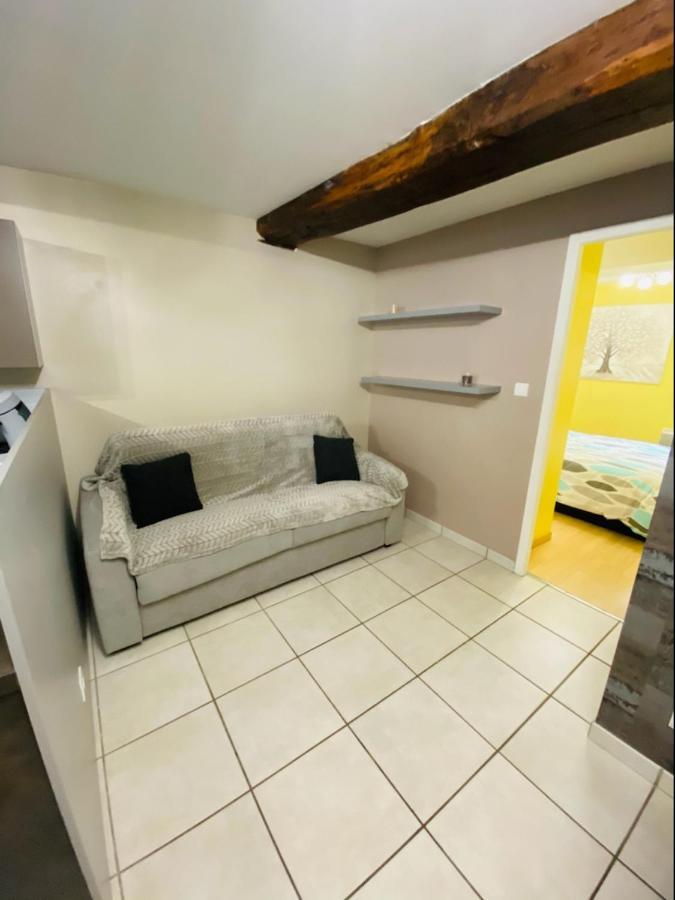 Bel Appartement Coeur De Ville 索恩河畔沙隆 外观 照片