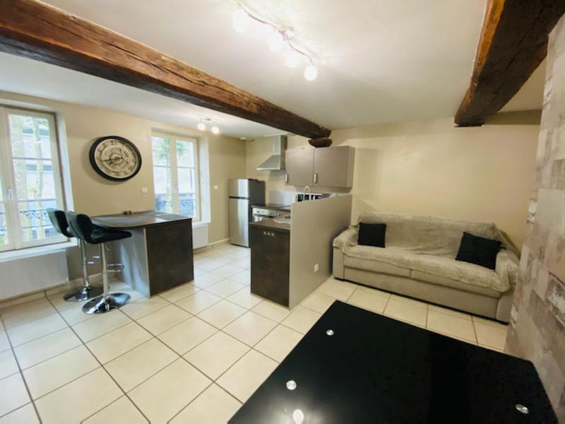 Bel Appartement Coeur De Ville 索恩河畔沙隆 外观 照片
